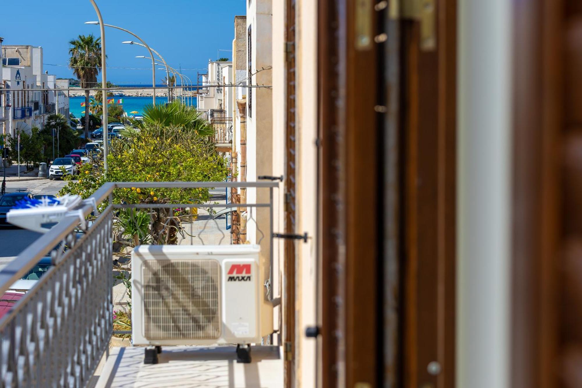 Agave Superior * San Vito Lo Capo